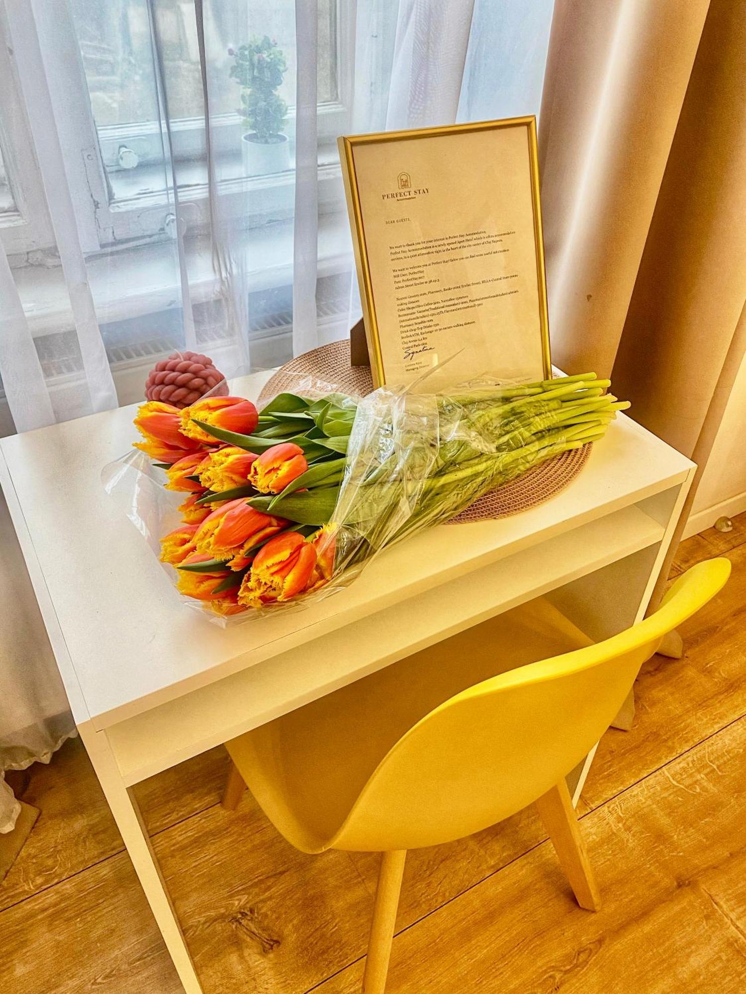Perfect Stay Kolozsvár Kültér fotó